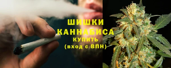 твердый Алзамай