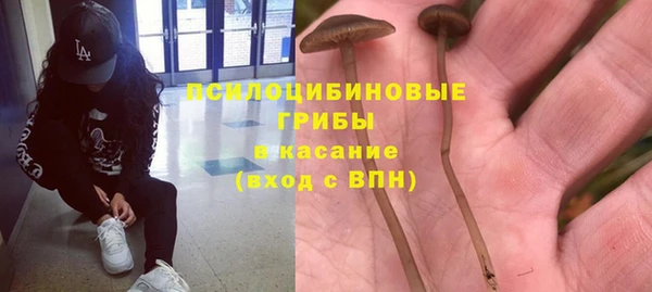 твердый Алзамай