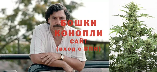 прущие грибы Ростов