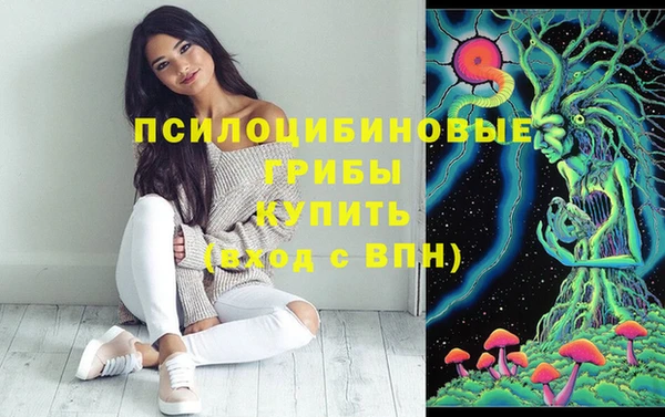шишки Алексин