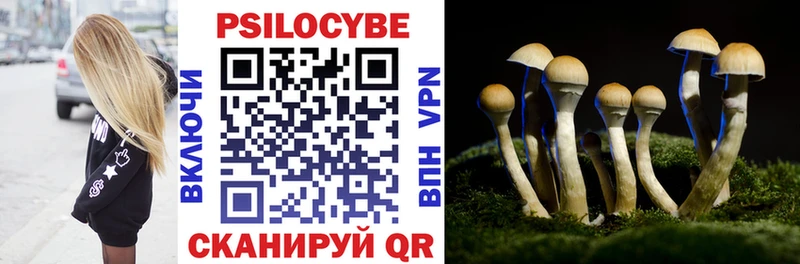 Псилоцибиновые грибы MAGIC MUSHROOMS Асбест