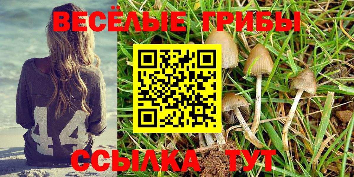 Псилоцибиновые грибы GOLDEN TEACHER Асбест